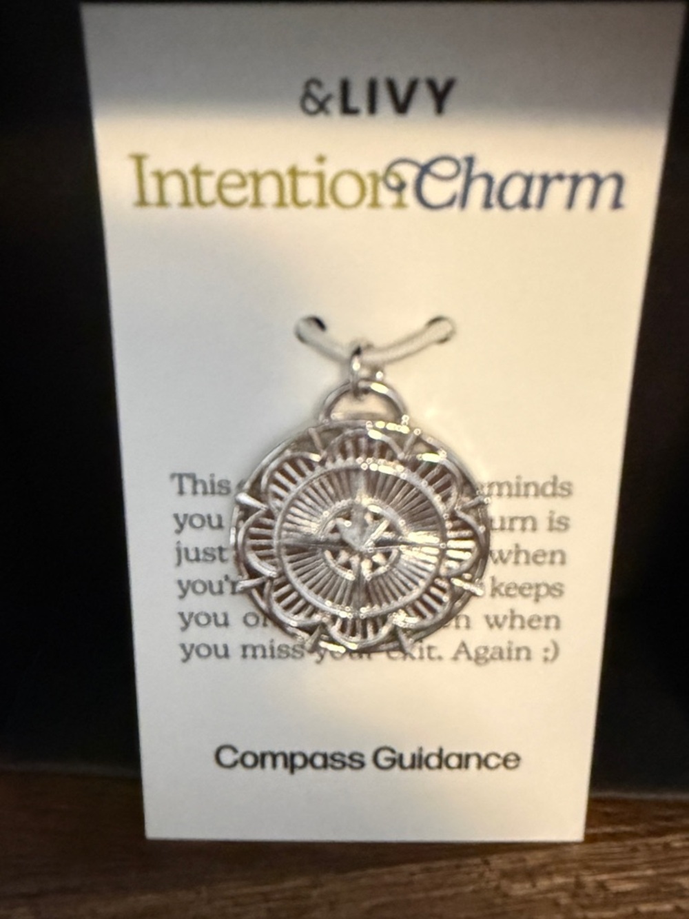 &Livy Compass Guidance Charm